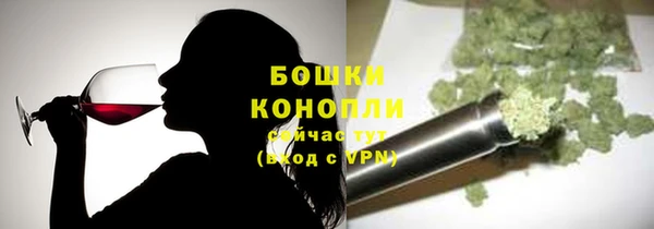 индика Липки