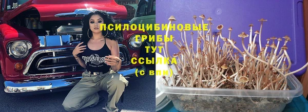 а пвп мука Лиски