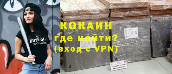 индика Липки