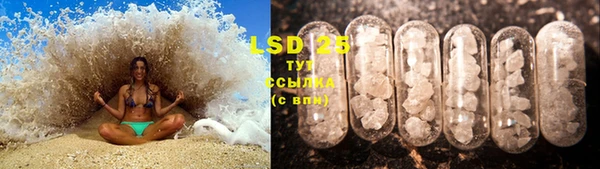индика Липки